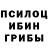Псилоцибиновые грибы Magic Shrooms Skatmam