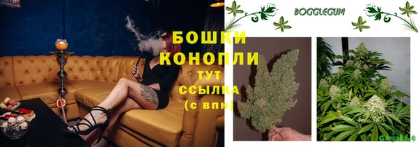ешки Мегион