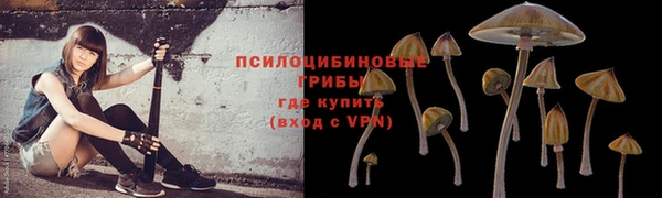 ешки Мегион