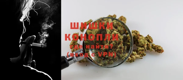 ешки Мегион