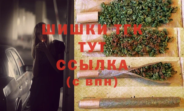 ешки Мегион